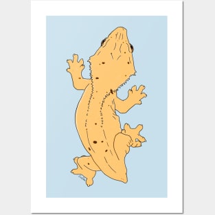 Crested Gecko Frog Butt Posters and Art